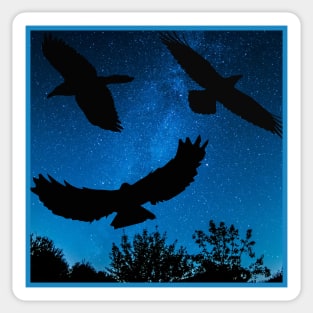 Night Soaring Sticker